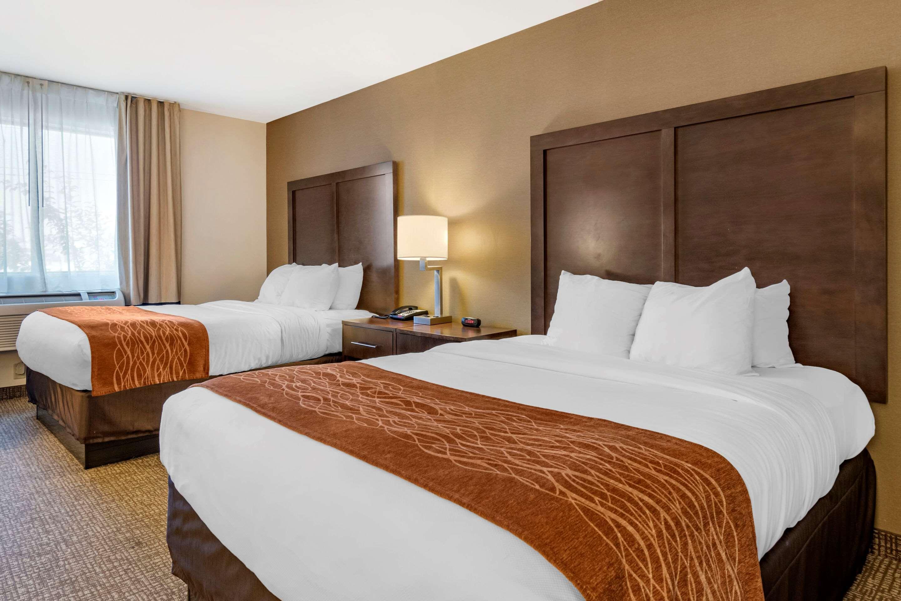 Comfort Inn Williamsport Ngoại thất bức ảnh